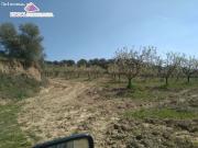 Se vende finca de 19000 m2 con pozo de agua