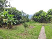 Se vende finca de 6000 M2 en 320 mil en La Mesa Cund, COL