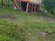 Se vende finca de 6 hectareas en Esmeraldas