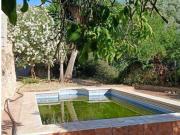 SE VENDE FINCA DE OLIVOS CON VIVIENDA