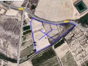 SE VENDE FINCA DE REGADIO EN CAÑADA EL ROYO