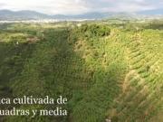 SE VENDE FINCA EN ALTAGRACIA