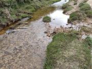 SE VENDE FINCA EN CONCEPCION ANTIOQUIA