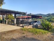 se vende Finca en el Corregimiento de la Florida