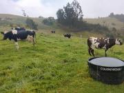 SE VENDE FINCA EN EL SISGA CHOCONTA