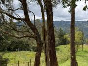 Se Vende Finca en Gama, Cundinamarca