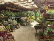Se vende Finca en la Clara Caldas Antioquia