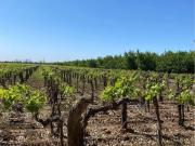 Se Vende Finca en Lavalle a 3 Km del Centro