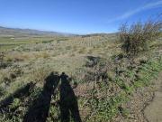 Se vende finca en Olves