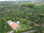 Se vende finca en Quimbaya, Quindio