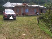 SE VENDE FINCA EN SANTA BARBARA VIA PINTADA ANTIOQUIA