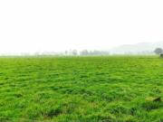 SE VENDE FINCA EN SOPO CUNDINAMARCA USO AGRICOLA GANADERO