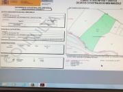 SE VENDE FINCA EN VILLAFRANCA DE 79912 M2 PLANTADA DE...