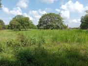 SE VENDE FINCA GANADERA DE 450 HECTÁREAS, EN SAN PELAYO...