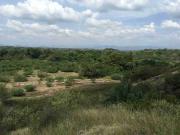 Se vende finca ganadera en el guamo Tolima
