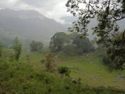 SE VENDE FINCA GANADERA VEREDA SAN BENITO AGUAZUL VIA...