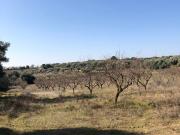 Se vende Finca Rústica cercana a Barbastro