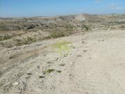 Se vende finca rustica con casa cortijo para restaurar