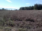 SE VENDE FINCA RUSTICA DE 3200 m2