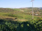 SE VENDE FINCA RUSTICA DE TIERRA DE LABOR EN ZAHARA DE...