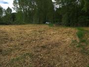 SE VENDE FINCA RUSTICA EN DEHESAS