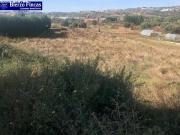 SE VENDE FINCA RUSTICA EN EL CENTRO DE CAMPO