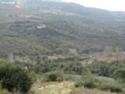 Se Vende Finca Rústica en Gaucín