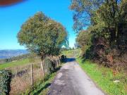 Se vende finca rústica en Voto