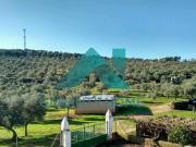 Se vende finca rústica en zona LA SIERRILLA