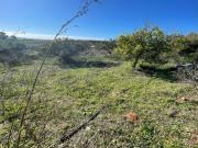 SE VENDE FINCA RÚSTICA POR LA CARRETERA ARCOS ELBOSQUE