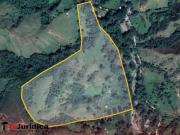 SE VENDE FINCA SAN LUIS/ PALERMO HUI COL