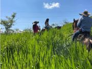 SE VENDE FINCA SECTOR CERRITOS PEREIRA