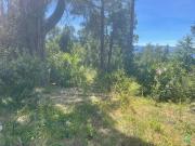 Se vende fracción para desarrollo inmobiliario