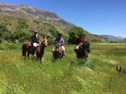 Se Vende Fundo 7.860 He, Colbún Curillinque