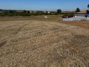Se vende gran parcela segregada de 22.000 m²