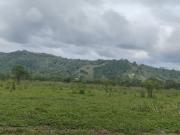 SE VENDE HACIENDA DE 120 HECTÁREAS EN RÍOVERDE...