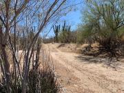 Terreno en venta en Calafia, Cancún, Baja California Sur