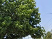 Se Vende Hermosa Parcela en Olmué Excelente Ubicación