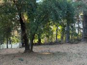 Se vende hermosa parcela en Vilches Alto