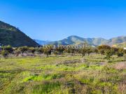 Se vende hermosa parcela plana de 5300m2, en sector...