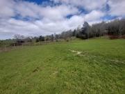 SE VENDE HERMOSA PARCELA TEGUALDA