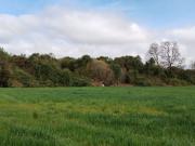 Se vende hermoso campo de 40 hectáreas en el sector...