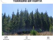 SE VENDE HERMOSO TERRENO EN LOMA VERDE.¡OPORTUNIDAD ÚNICA! SE VENDE HERMOSO TERRENO EN LOMA VERDE.¡OPORTUNIDAD ÚNICA!