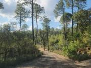 Se VENDE HIPICO en TAPALPA, JALISCO