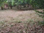 VENDIDO lote de 2000 M2 en 175 mill en San Joaquín La...