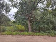 SE VENDE LOTE EN CASA GRANDE PUNILLA