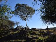 SE VENDE lote en La Granja con 20 mts costa de río