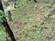 SE VENDE LOTE EN RESIDENCIAL SAN DIEGO IXTAPAN DE LA SAL