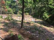 SE VENDE LOTE EN SANTA MARTHA MAGDALENA VIA A MINCA