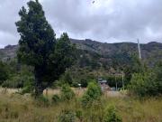 Se vende lote Plano y soleado en Reina mora
